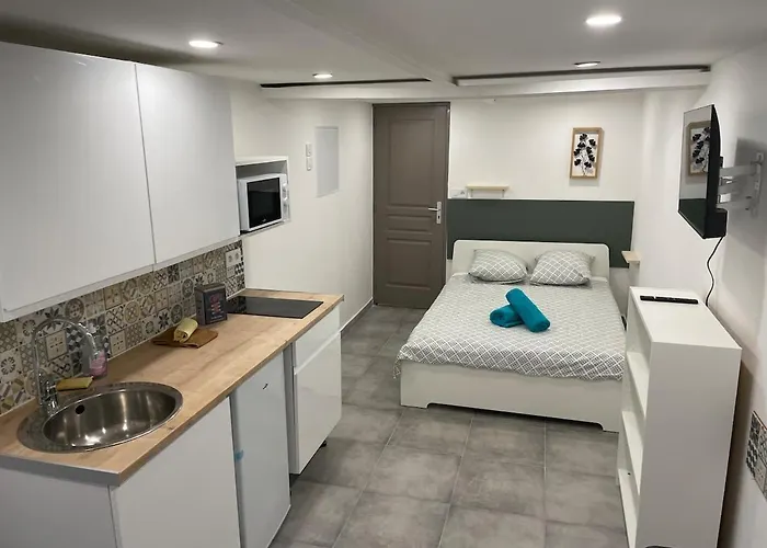 Centre Historique Port - Le 25b Piroddi アパート *